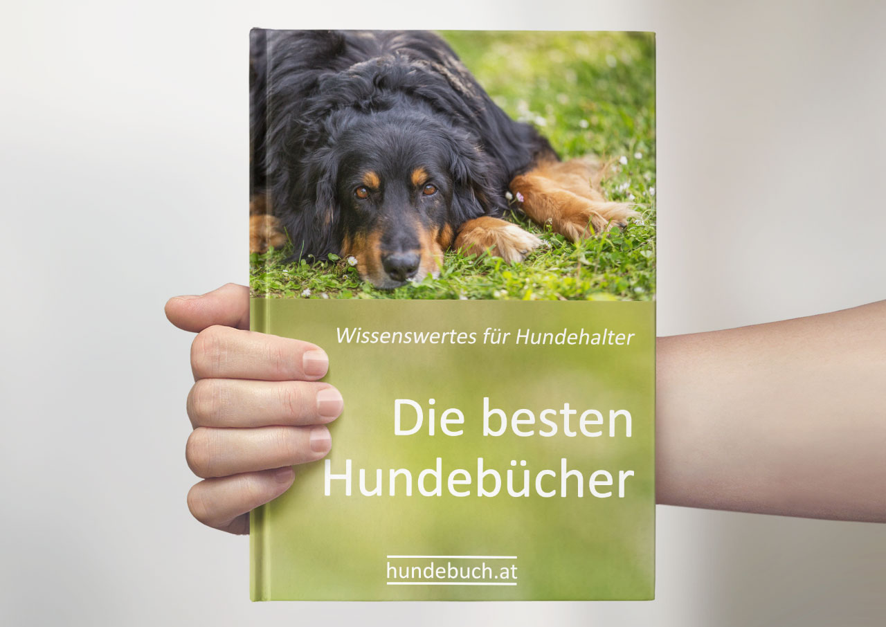 Die besten Hundebücher: Empfehlenswerte Bücher für Hundehalter