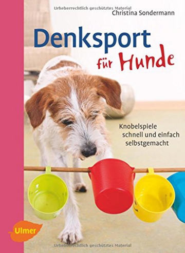 Denksport für Hunde: Knobelspiele schnell und einfach selbstgemacht - 1