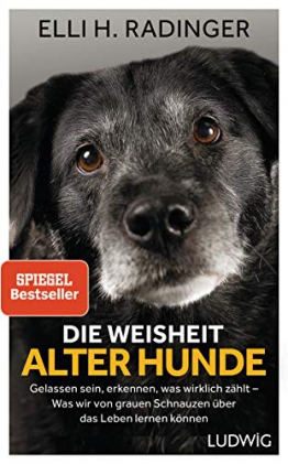 Die Weisheit alter Hunde: Gelassen sein, erkennen, was wirklich zählt – Was wir von grauen Schnauzen über das Leben lernen können - 1