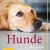 Hunde. Das grosse Praxishandbuch - 1