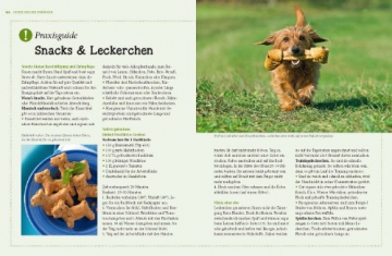 Hunde. Das grosse Praxishandbuch - 7