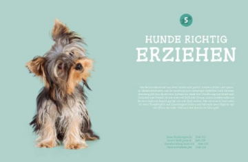 Hunde. Das grosse Praxishandbuch - 9