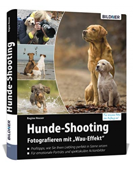 Hunde Fotoshooting